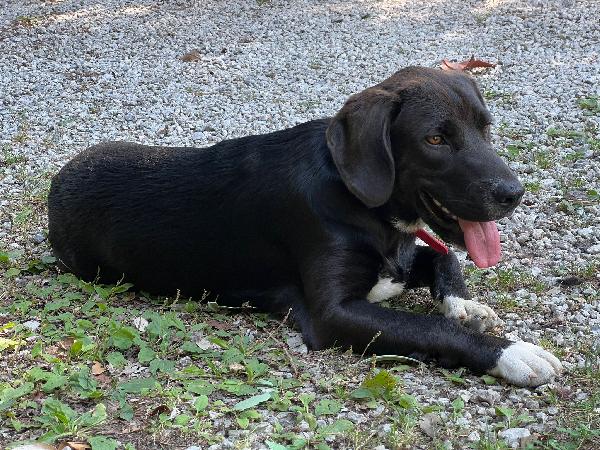 "Il piccolo Olly cerca un grande amore" Foto 7